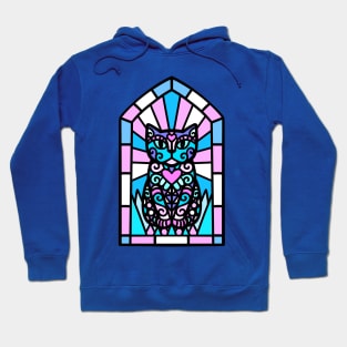 Trans cat god Hoodie